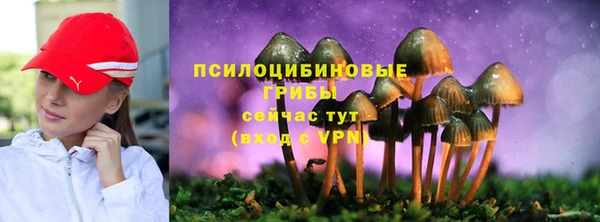 дживик Абинск