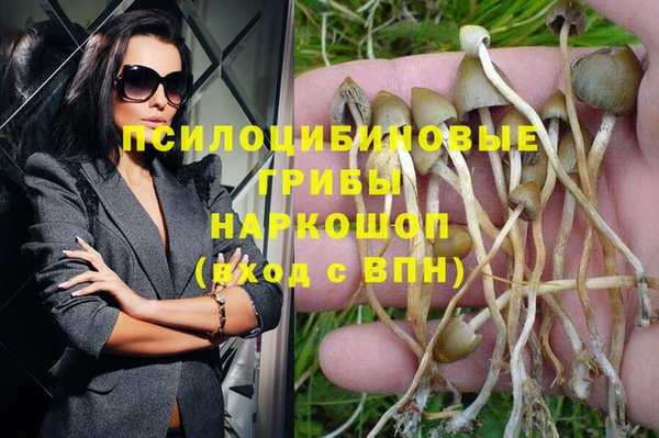 дживик Абинск