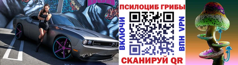 Галлюциногенные грибы GOLDEN TEACHER мориарти состав Богородск